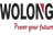Wolong logo